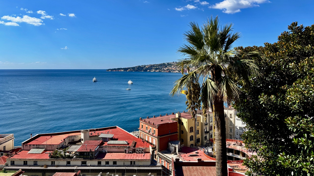 What a view - view from the balcony of the university